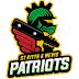 SNK team logo