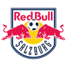 Red Bull team logo