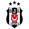Beşiktaş  team logo