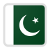 Pakistan  team logo