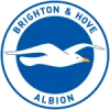 Brighton team logo