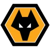 Wolverhampton  team logo