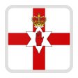Northern Ireland  team logo