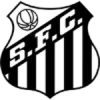 Santos  team logo