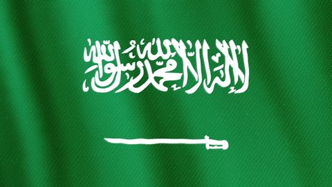 Saudi Arabia team logo