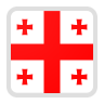 Georgia team logo