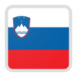 Slovenia team logo