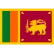 SRI W team logo
