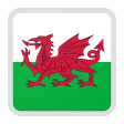 Wales team logo