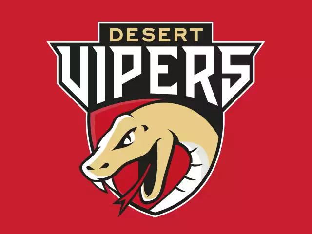 DV team logo