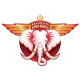 MSG-M team logo