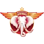 MSG team logo