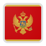 Montenegro team logo