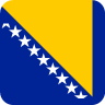 Bosnia team logo