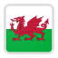 Wales  team logo