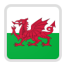 Wales team logo