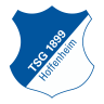 Hoffenheim  team logo