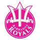 BT team logo