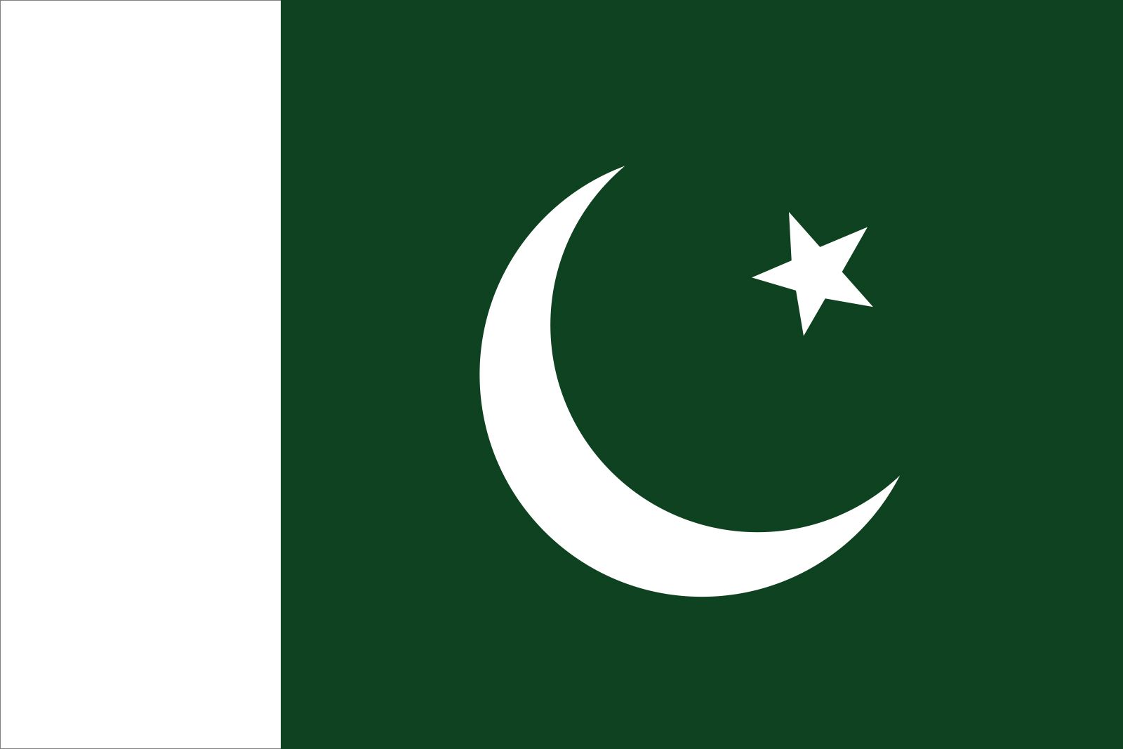 Pakistan team logo