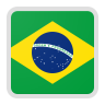Brazil team logo