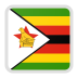 Zimbabwe team logo