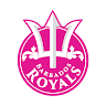 BT team logo