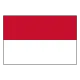 Idn W team logo