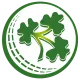 Ireland team logo